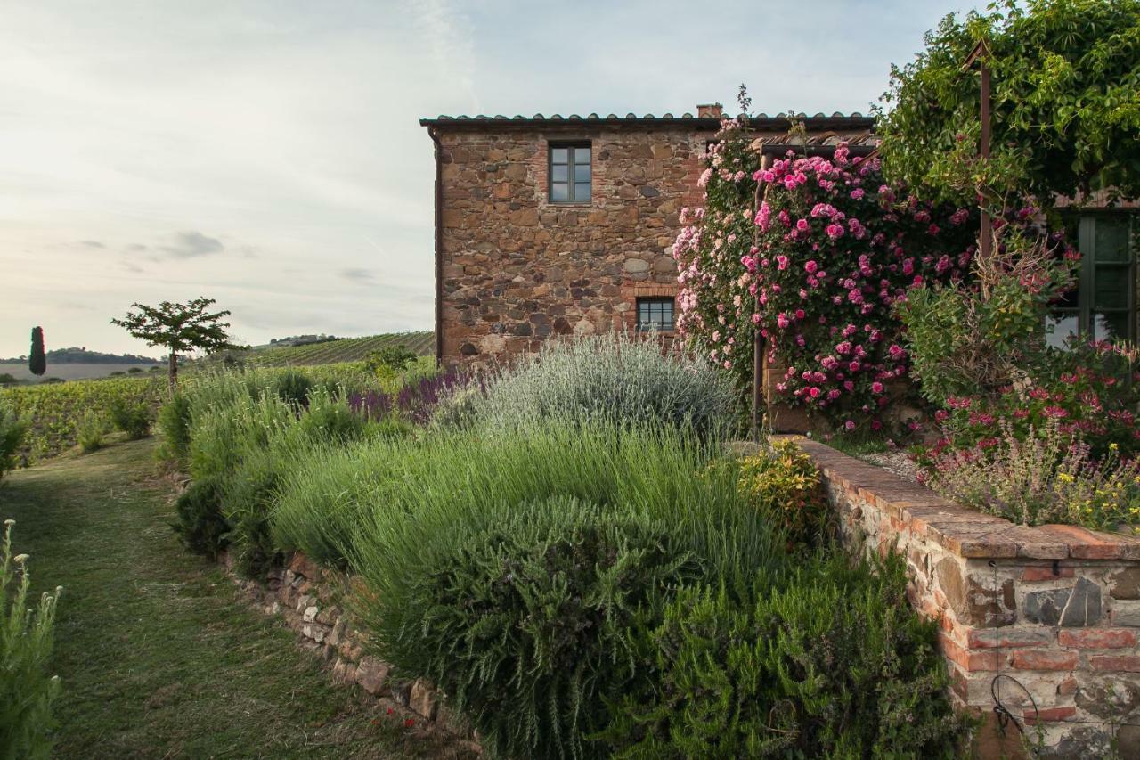 Follonico 4-Suite B&B Torrita di Siena Zewnętrze zdjęcie