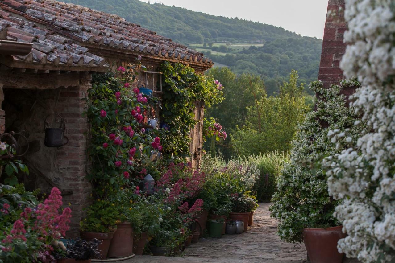 Follonico 4-Suite B&B Torrita di Siena Zewnętrze zdjęcie